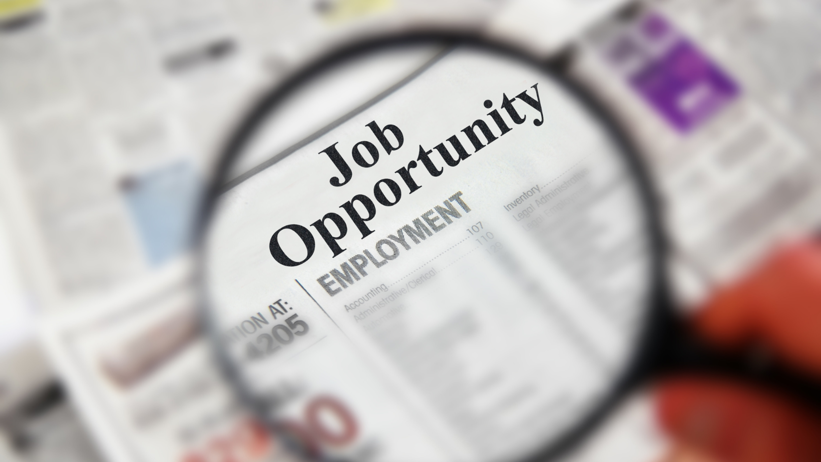 disablity jobs