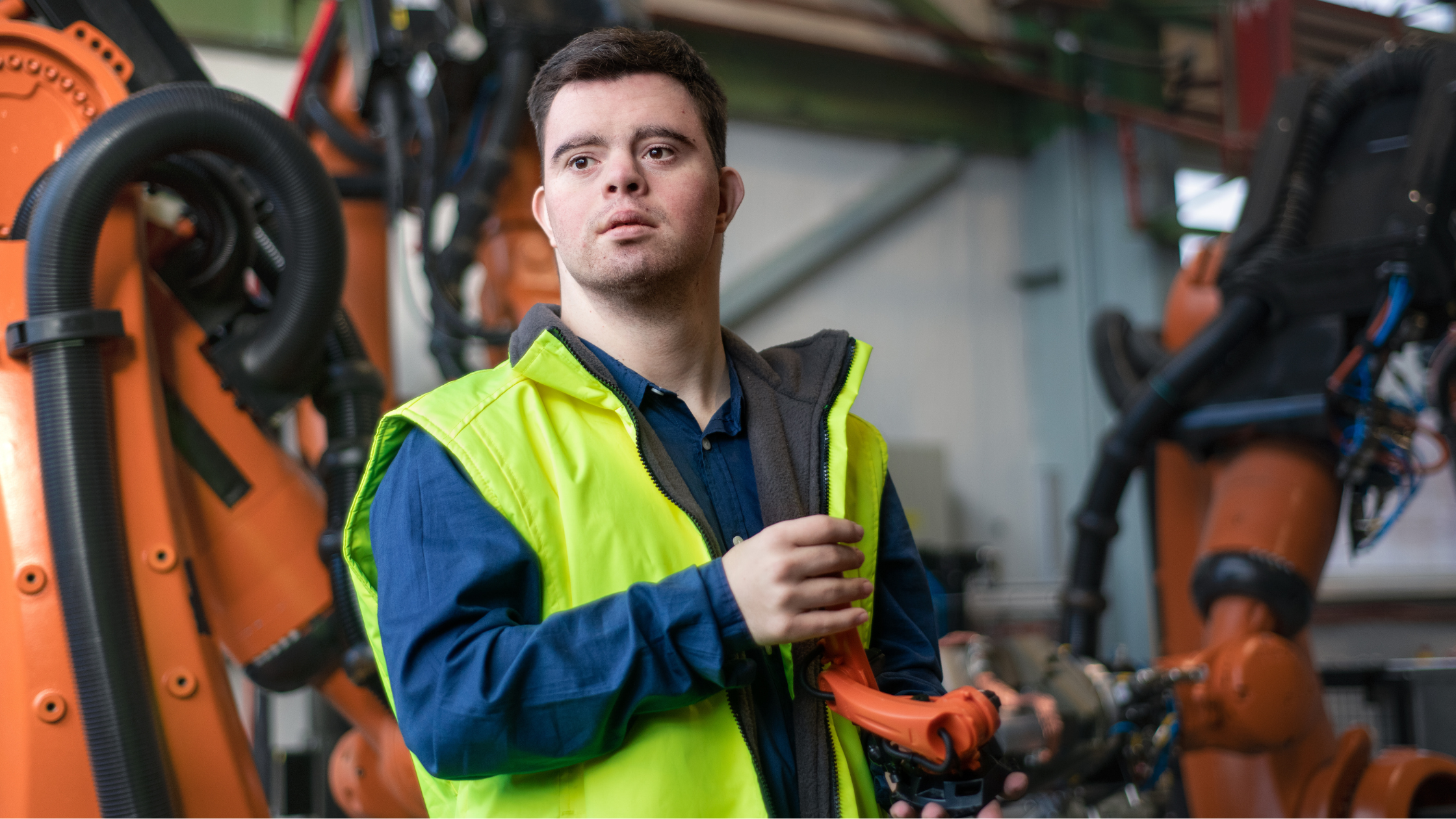 disability employment