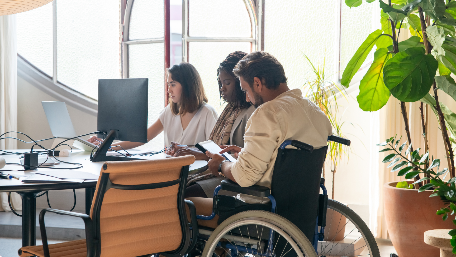 disability employment